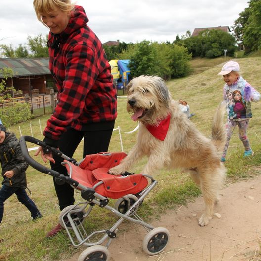 Suņu skola Ventspilī - pasākums Talsos 05